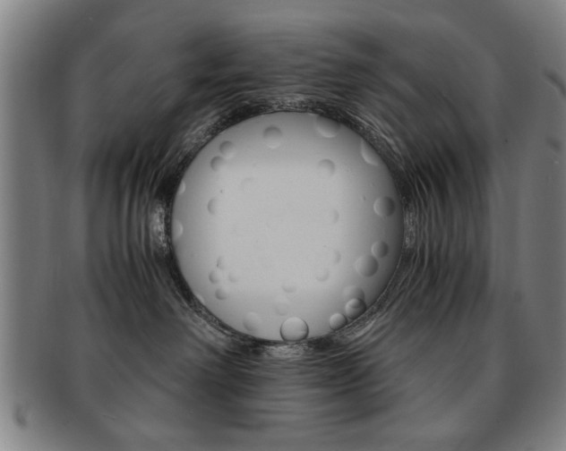 X0000091650238200708231017