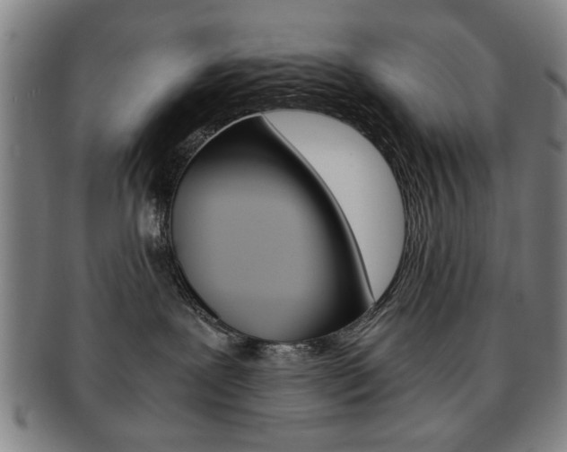 X0000091650239200708231017