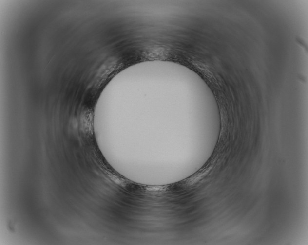 X0000091650240200708231016