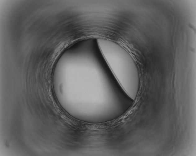 X0000091650241200708231016