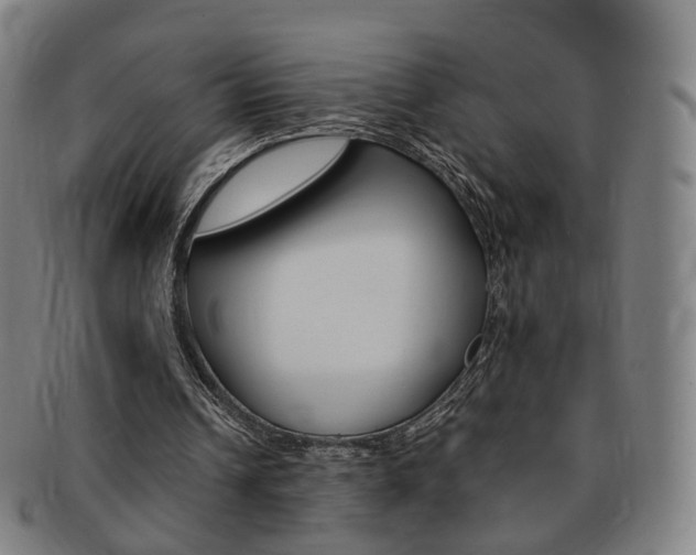 X0000091650242200708231016