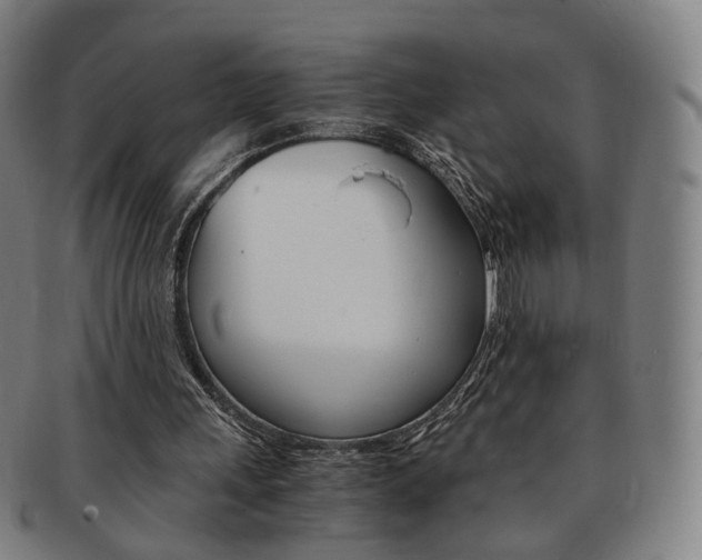 X0000091650243200708231016