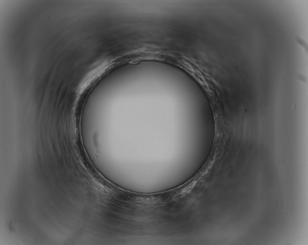 X0000091650245200708231016