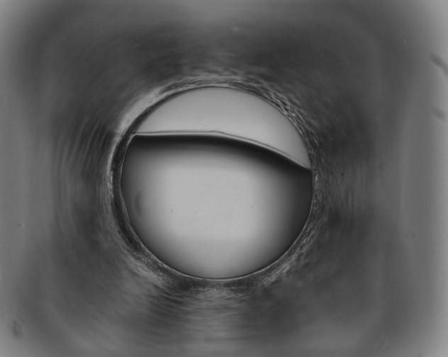 X0000091650246200708231016