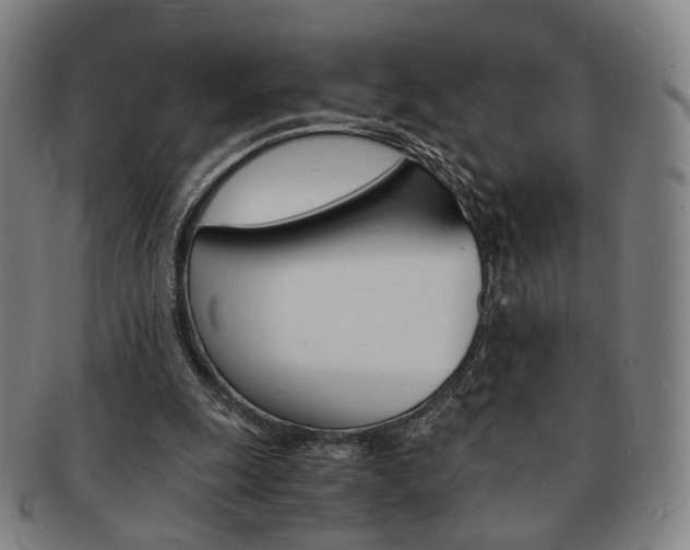 X0000091650247200708231016