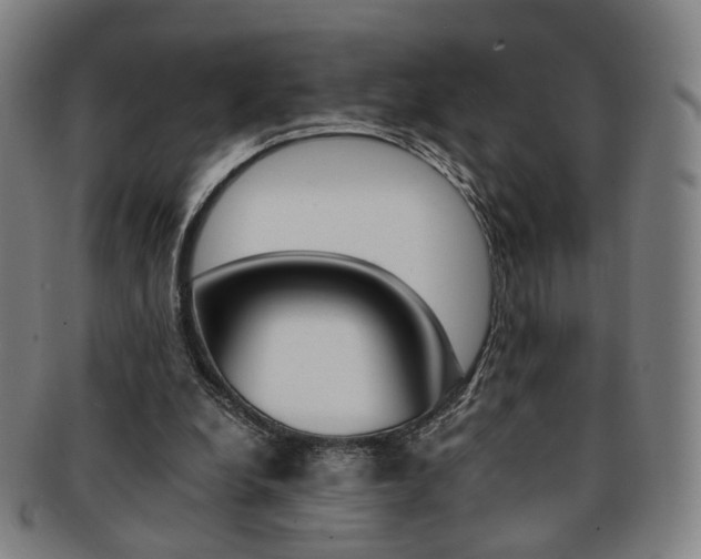 X0000091650248200708231016