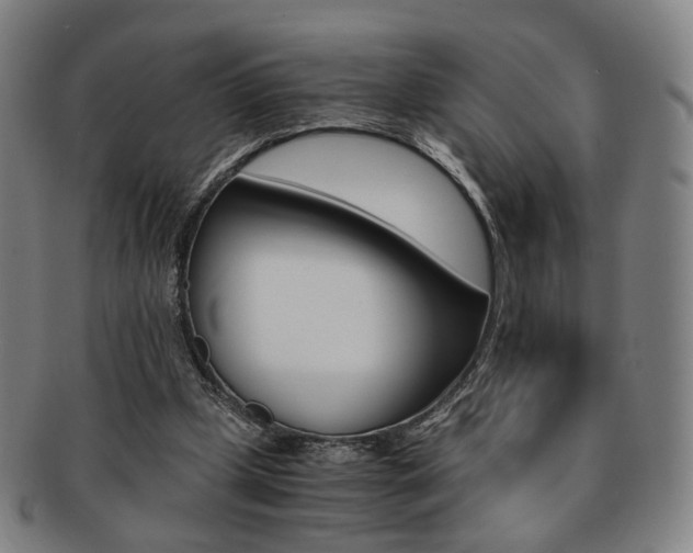 X0000091650249200708231016