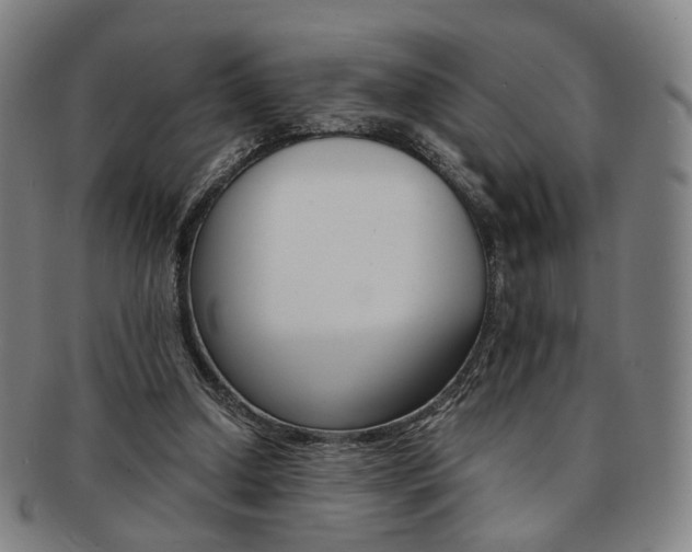 X0000091650250200708231016