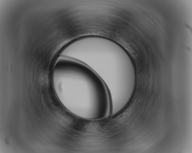 X0000091650252200708231016