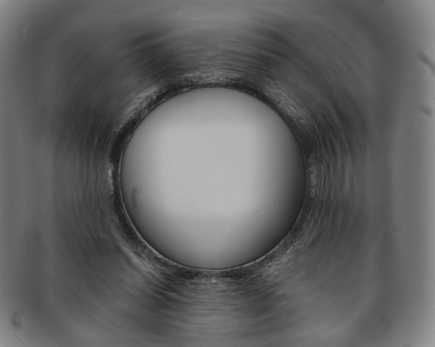 X0000091650254200708231016