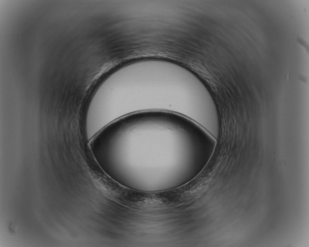 X0000091650256200708231016