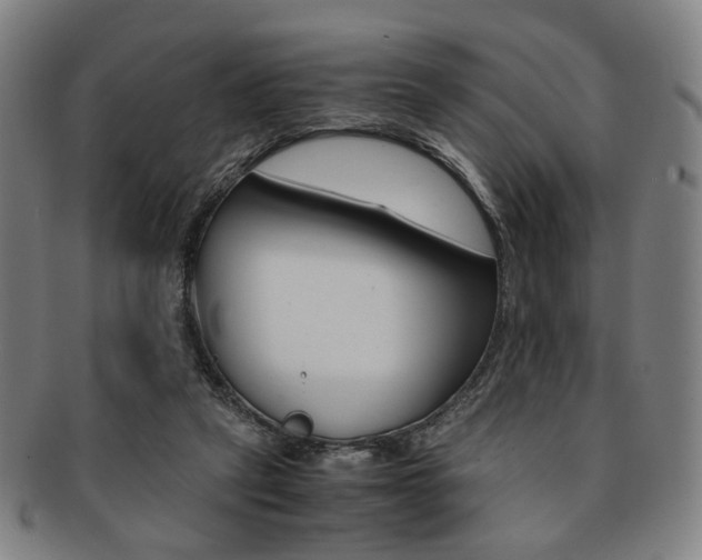 X0000091650257200708231016