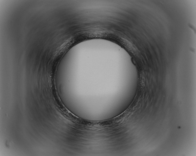 X0000091650258200708231016