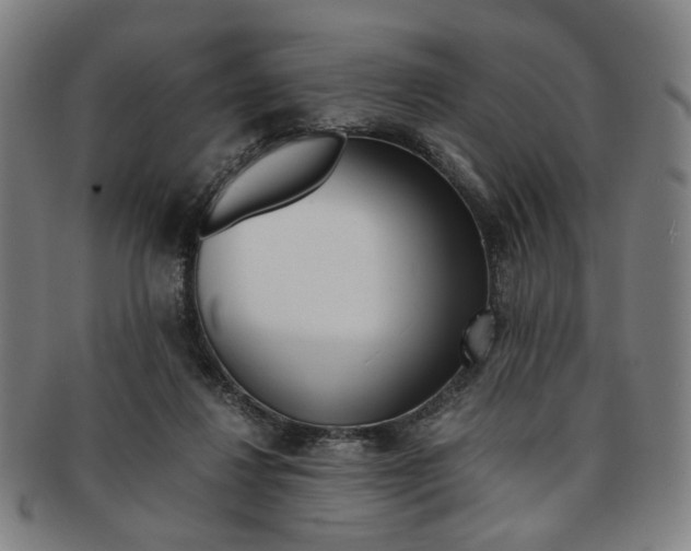 X0000091650260200708231016