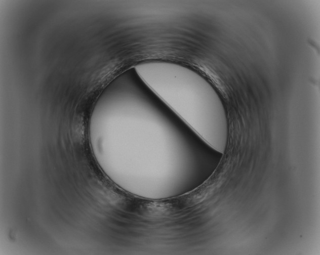 X0000091650261200708231016