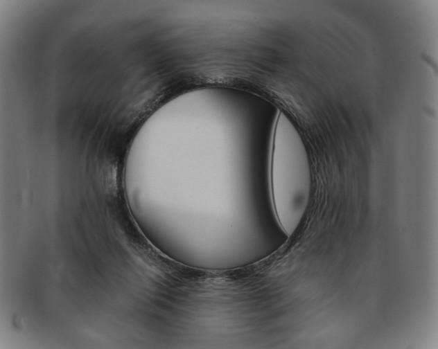X0000091650262200708231016