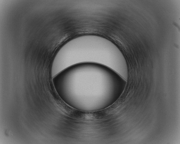X0000091650264200708231016
