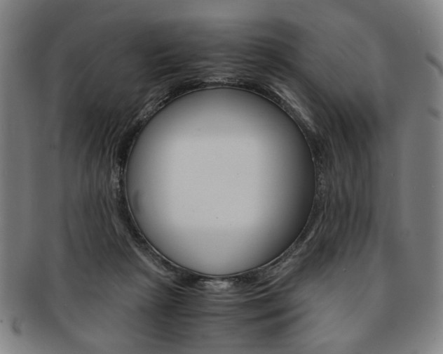 X0000091650265200708231016