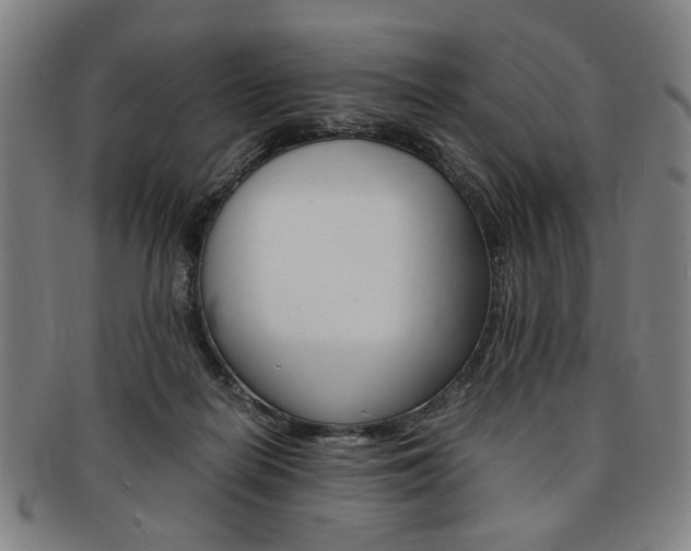 X0000091650266200708231016