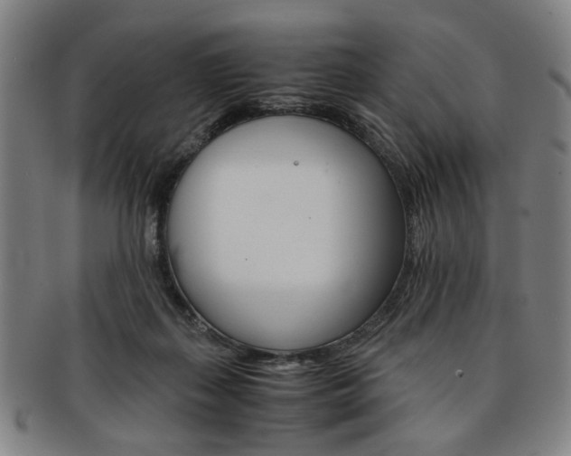 X0000091650267200708231016