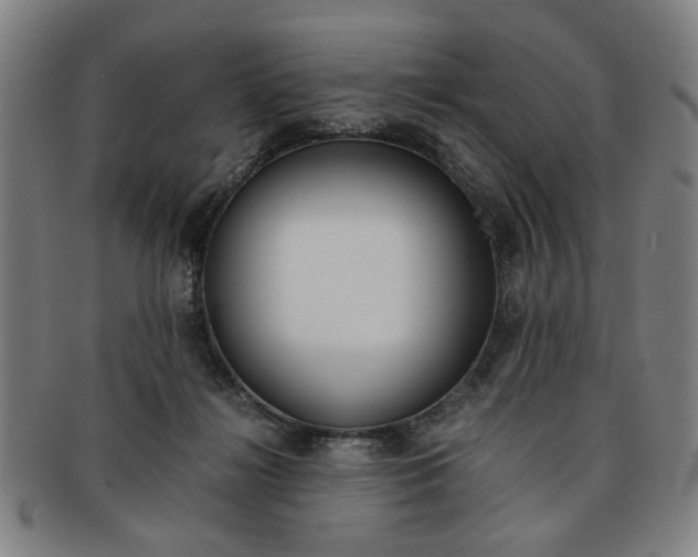 X0000091650268200708231016