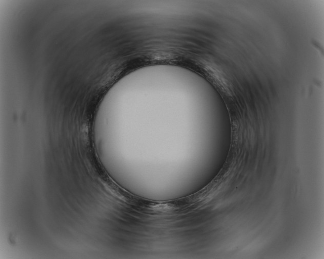 X0000091650269200708231016