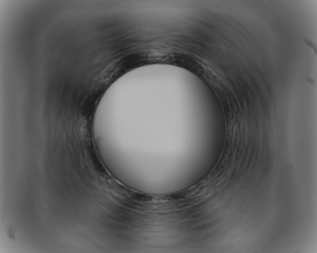 X0000091650270200708231016