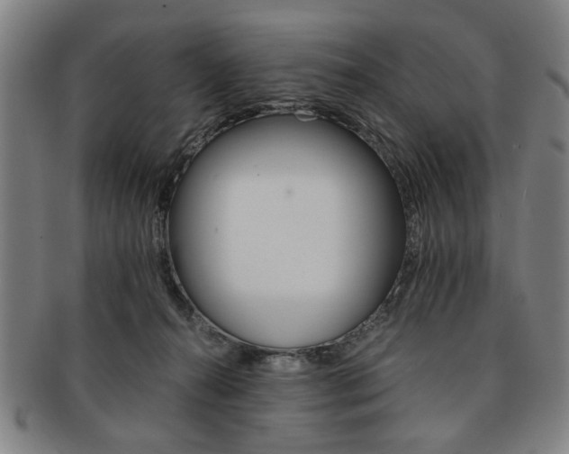 X0000091650272200708231016