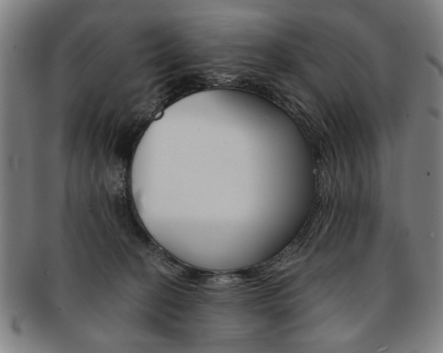 X0000091650274200708231016