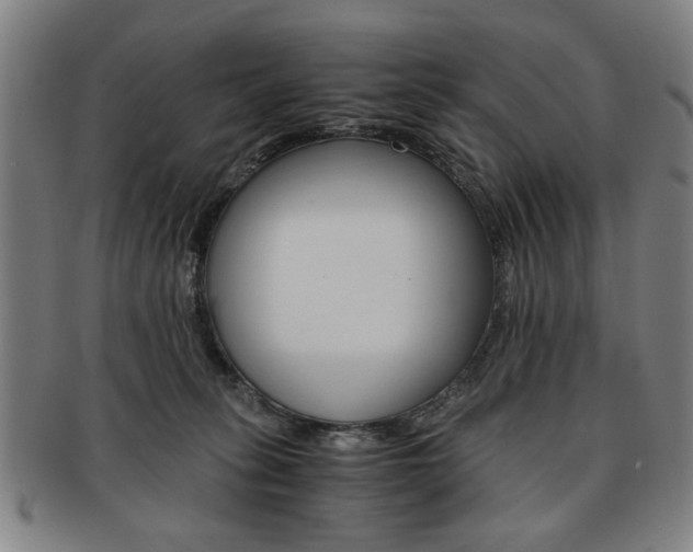 X0000091650275200708231016