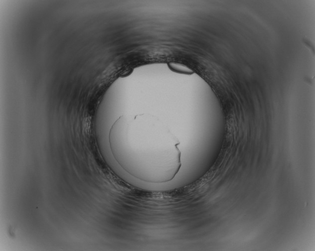 X0000091650278200708231016