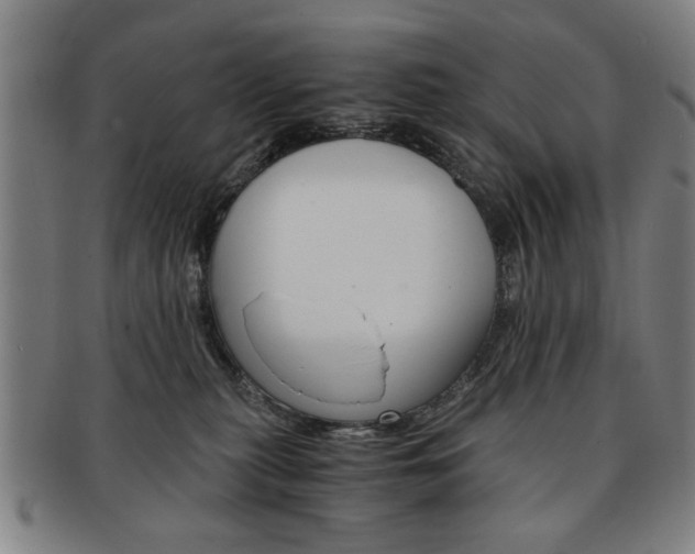 X0000091650279200708231016
