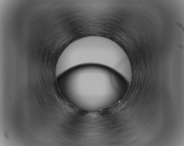 X0000091650280200708231016
