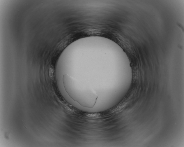 X0000091650281200708231016