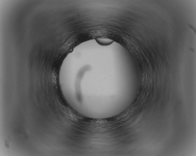 X0000091650282200708231016
