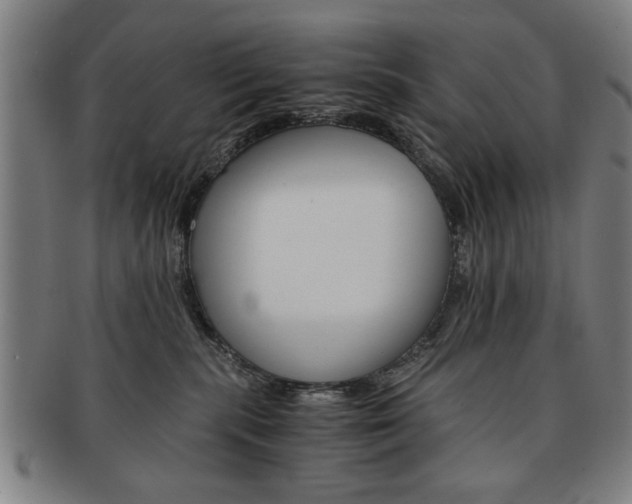 X0000091650283200708231016
