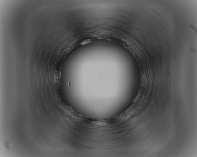 X0000091650284200708231016