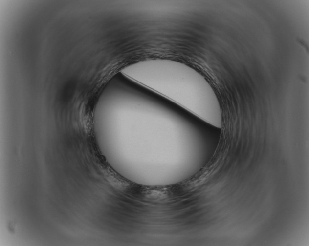 X0000091650285200708231016