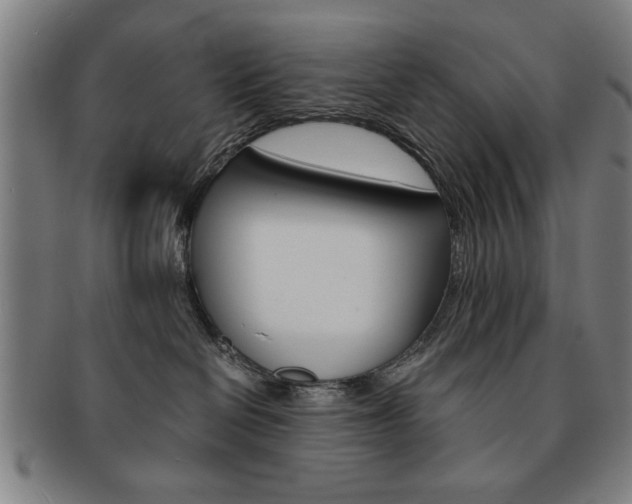 X0000091650286200708231016