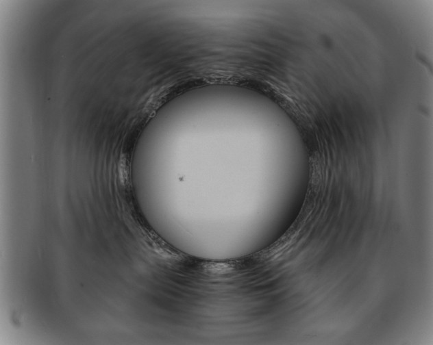 X0000091650287200708231016
