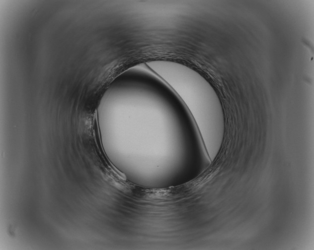 X0000091650288200708231016
