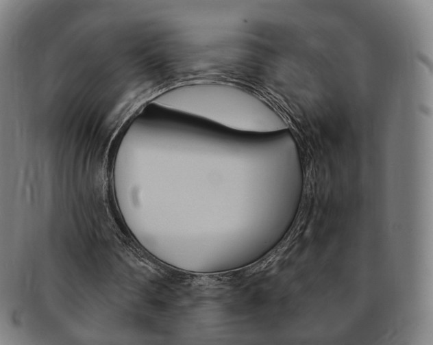 X0000091650290200708231016