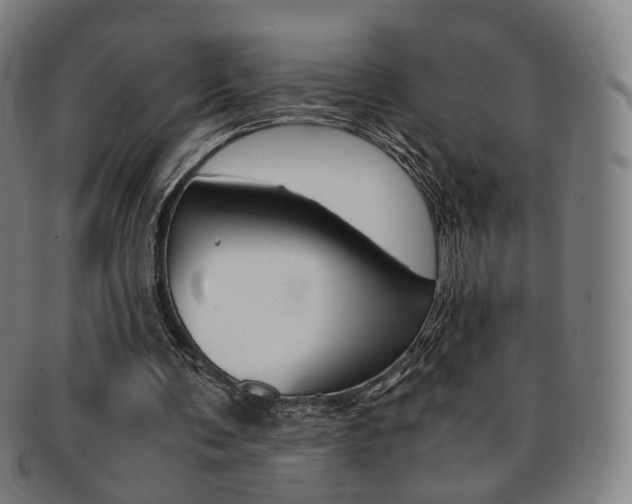 X0000091650291200708231016