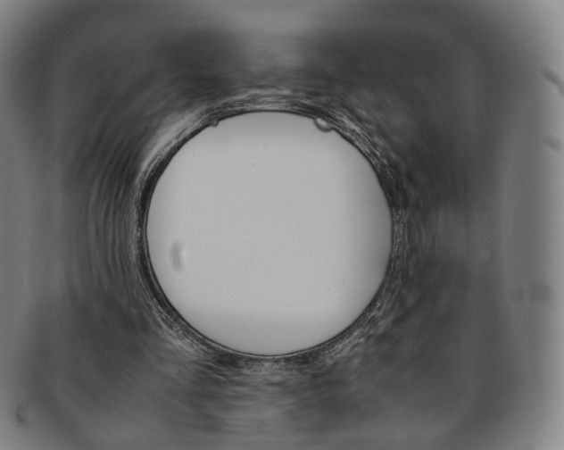 X0000091650293200708231016