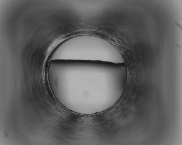 X0000091650294200708231016