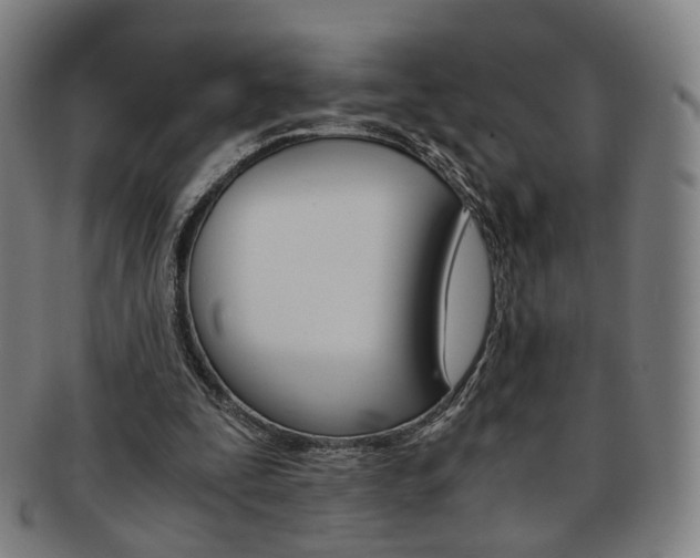 X0000091650295200708231016