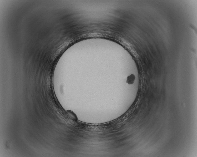 X0000091650297200708231016