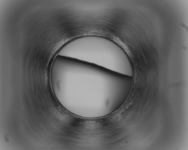 X0000091650298200708231016