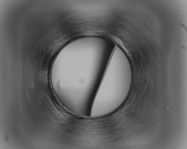 X0000091650299200708231016
