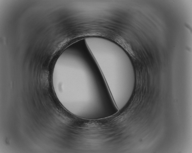 X0000091650300200708231016